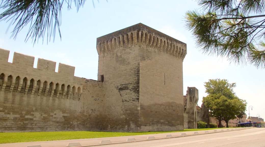 Avignon montrant patrimoine historique