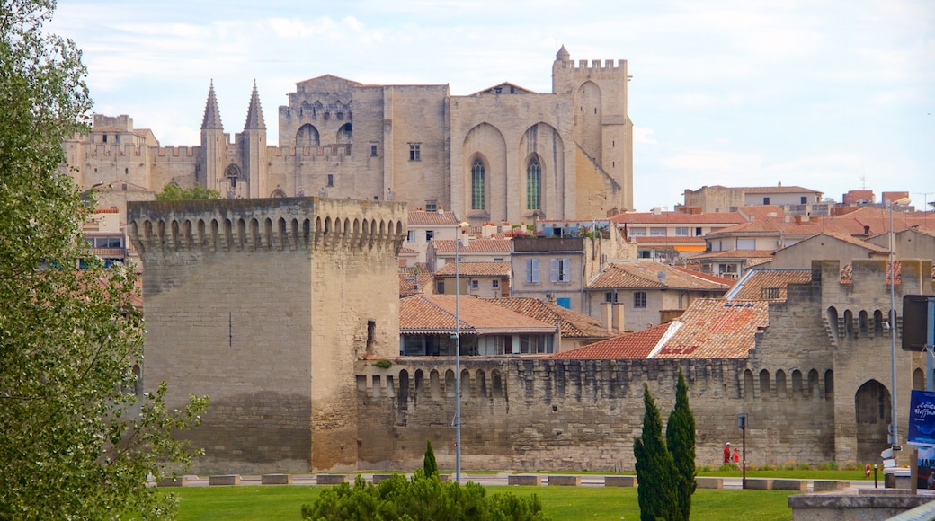 Avignon presenterar historiska element och en stad