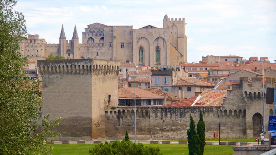Avignon featuring a city and heritage elements