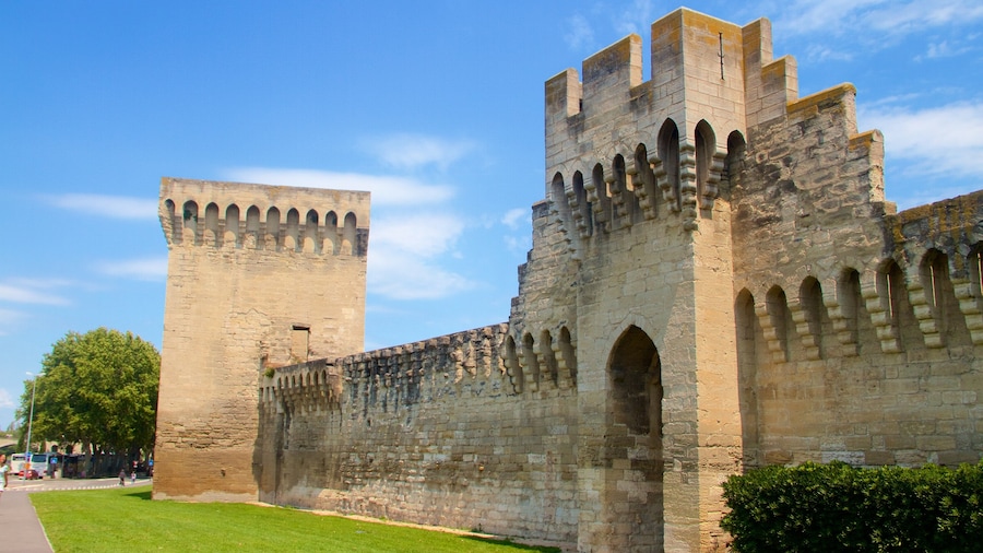 Avignon featuring heritage elements