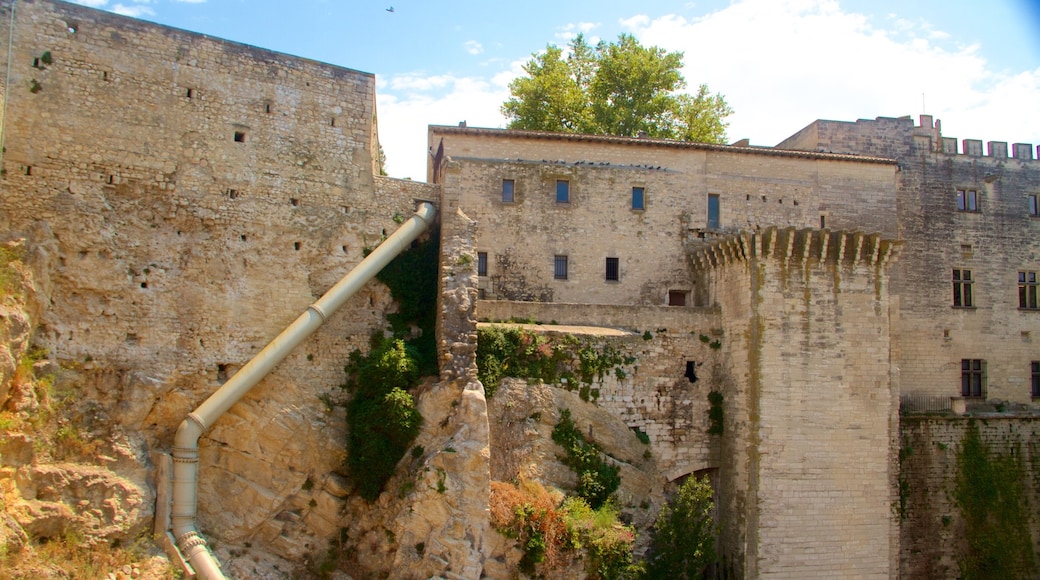 Avignon showing heritage elements