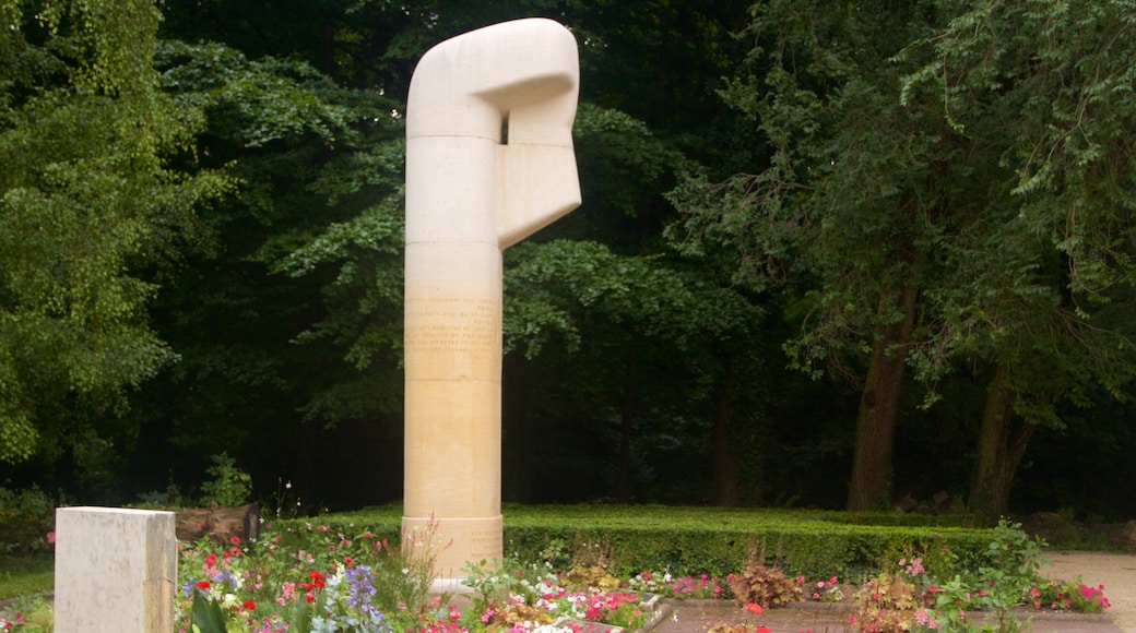 Grenoble montrant fleurs et jardin