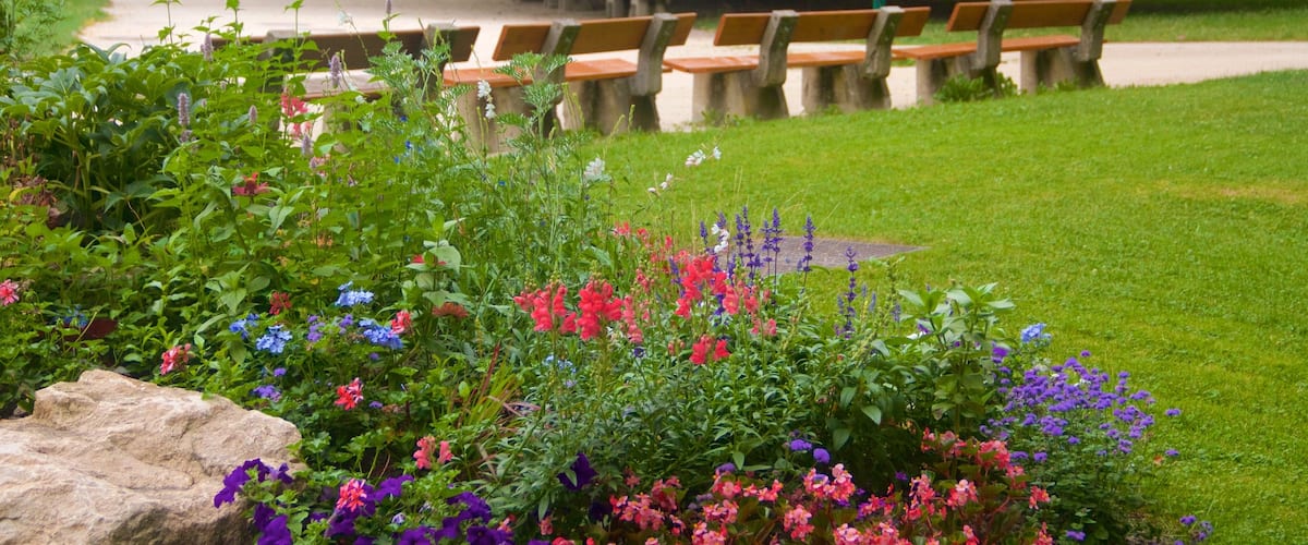 Grenoble bevat een park en bloemen