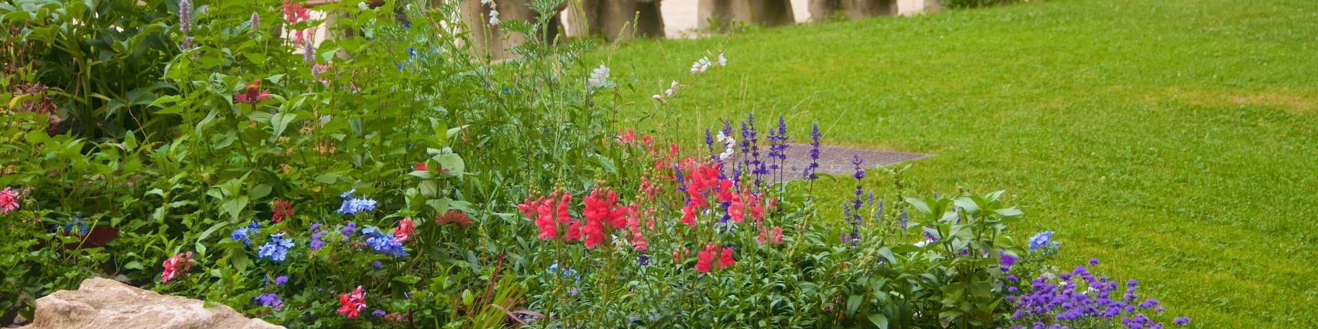 Grenoble welches beinhaltet Blumen und Park