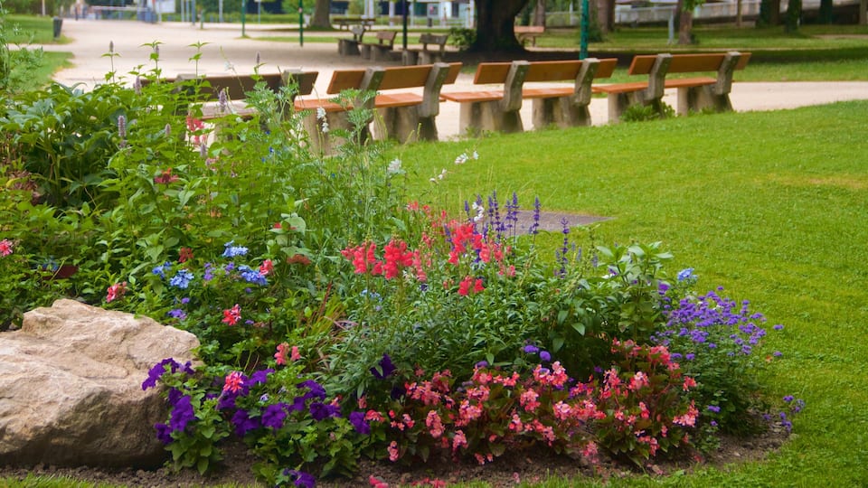Grenoble mostrando flores y un parque