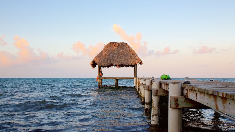 ホプキンス 表示 海岸線の眺め