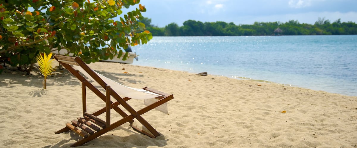 Playa de Placencia que incluye vistas generales de la costa y una playa de arena