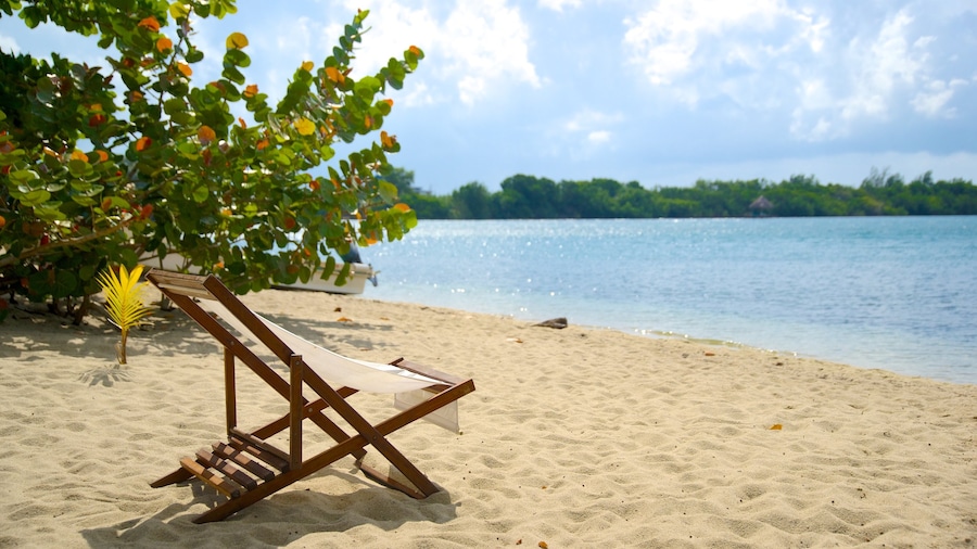 Playa de Placencia que incluye una playa y vista general a la costa