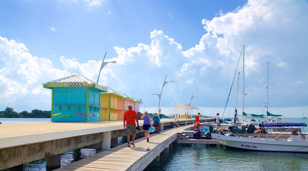 Placencia strand som omfatter udsigt over kystområde og en marina