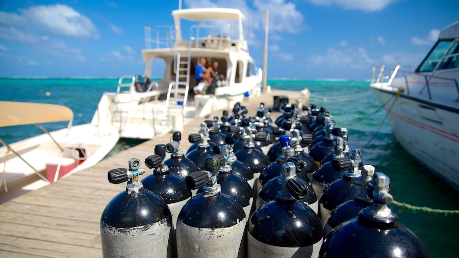 San Pedro featuring a marina, general coastal views and scuba diving