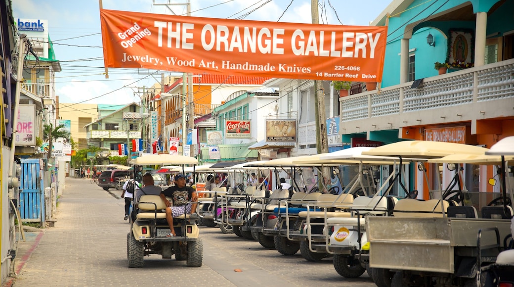 San Pedro showing a city