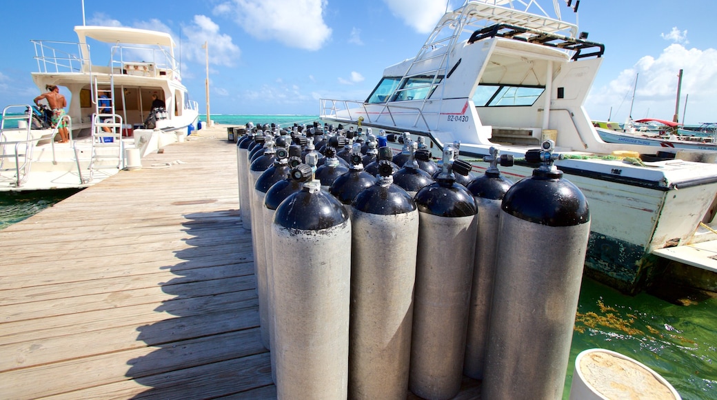 San Pedro showing scuba diving and general coastal views