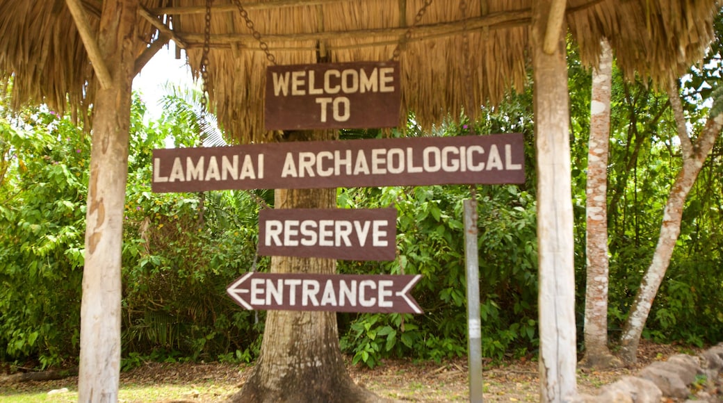 Lamanai which includes signage