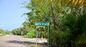 Maya Beach