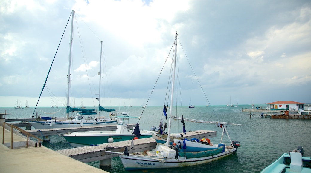 Placencia Beach showing sailing and general coastal views