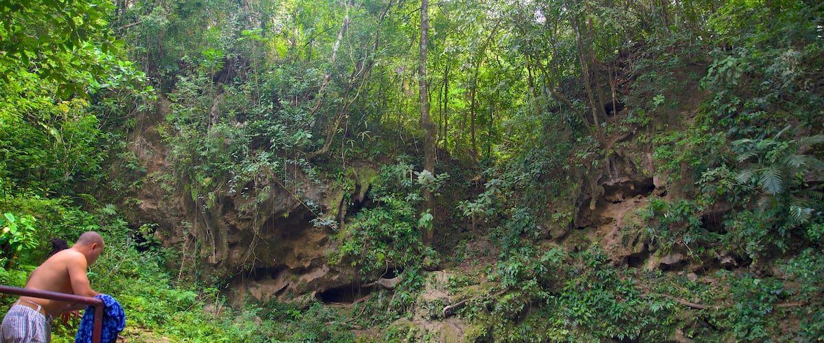 Blue Hole National Park featuring rainforest and a lake or waterhole as well as an individual male