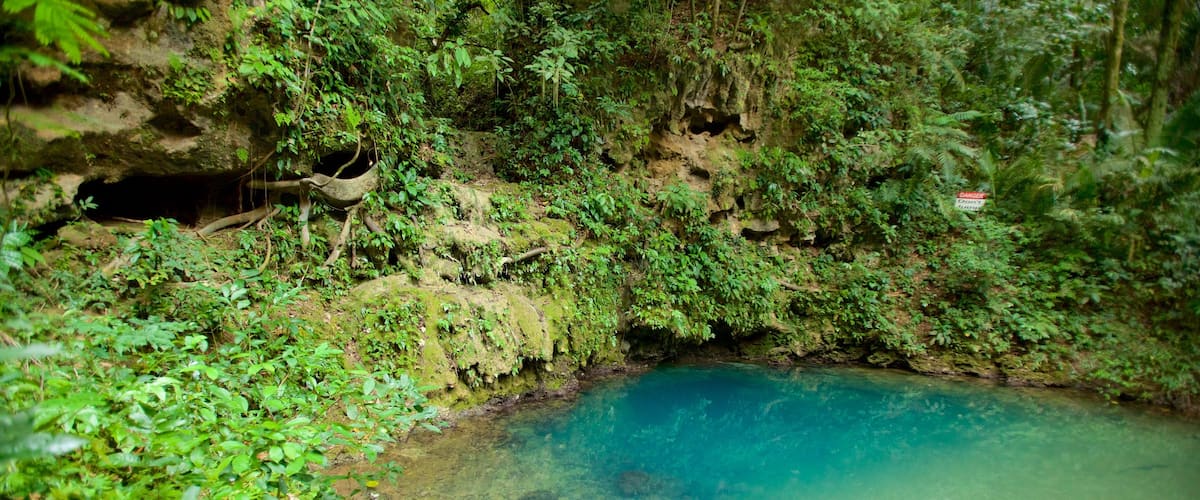 Parque Nacional Blue Hole ofreciendo un lago o abrevadero y selva