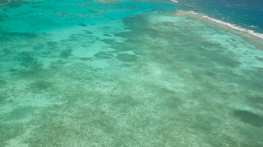 Belize mit einem allgemeine Küstenansicht und Korallen