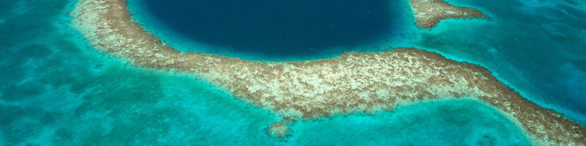 Belize montrant vues littorales et corail