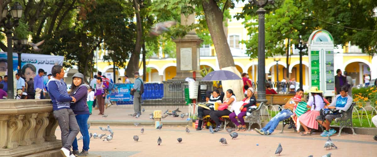 Plaza 14 de Septiembre qui includes vie des oiseaux et square ou place