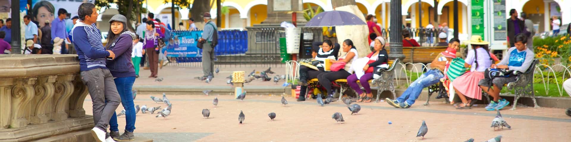 Plaza 14 de Septiembre showing a square or plaza and bird life