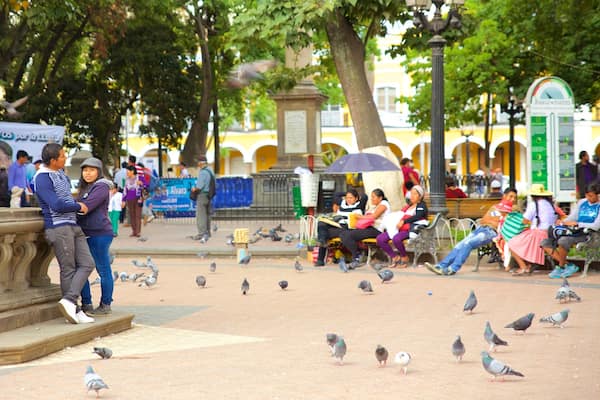 Plaza 14 de Septiembre which includes bird life and a square or plaza