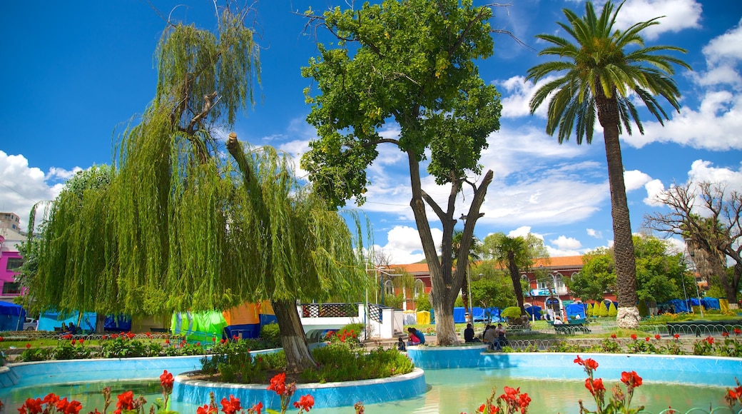 Plaza Colon showing a park