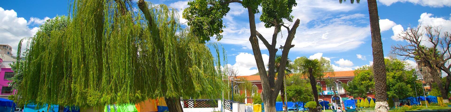 Plaza Colon featuring a park