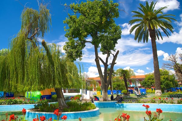 Plaza Colon which includes a park