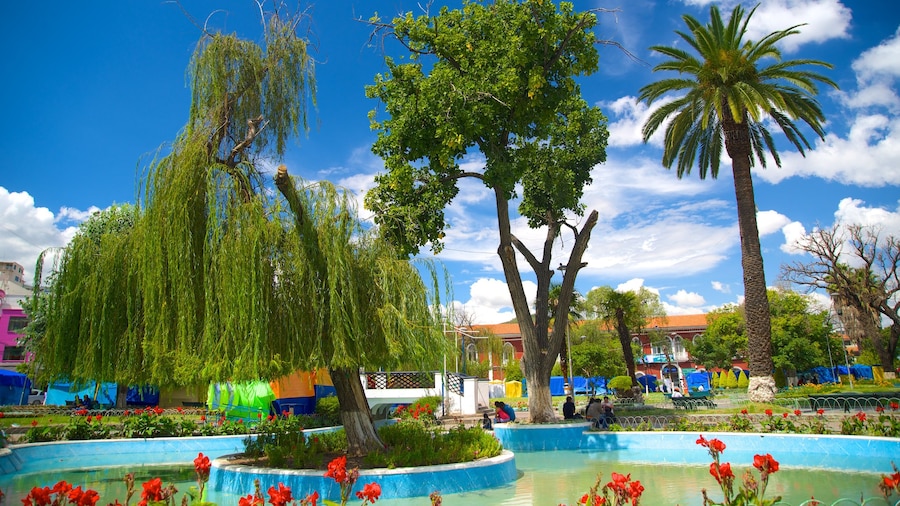 Plaza Colon