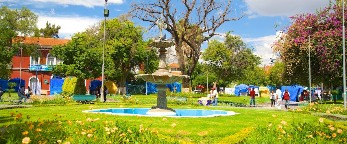 Plaza Colon showing a garden