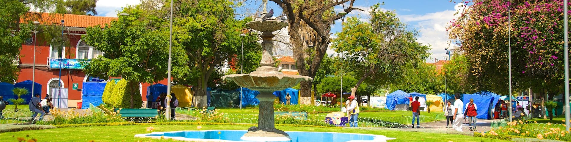 Plaza Colon which includes a garden