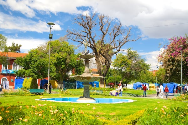 Plaza Colon showing a garden
