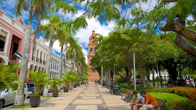 San Lorenzo Cathedral showing a park