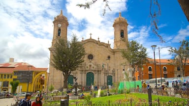 Potosi showing a garden and a city