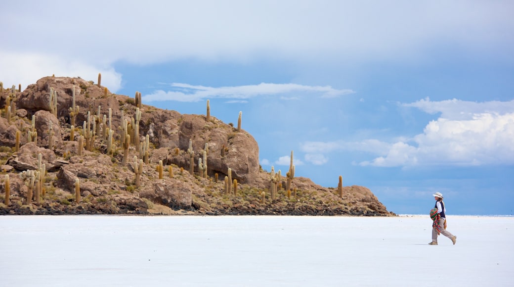 Uyuni que incluye escenas tranquilas