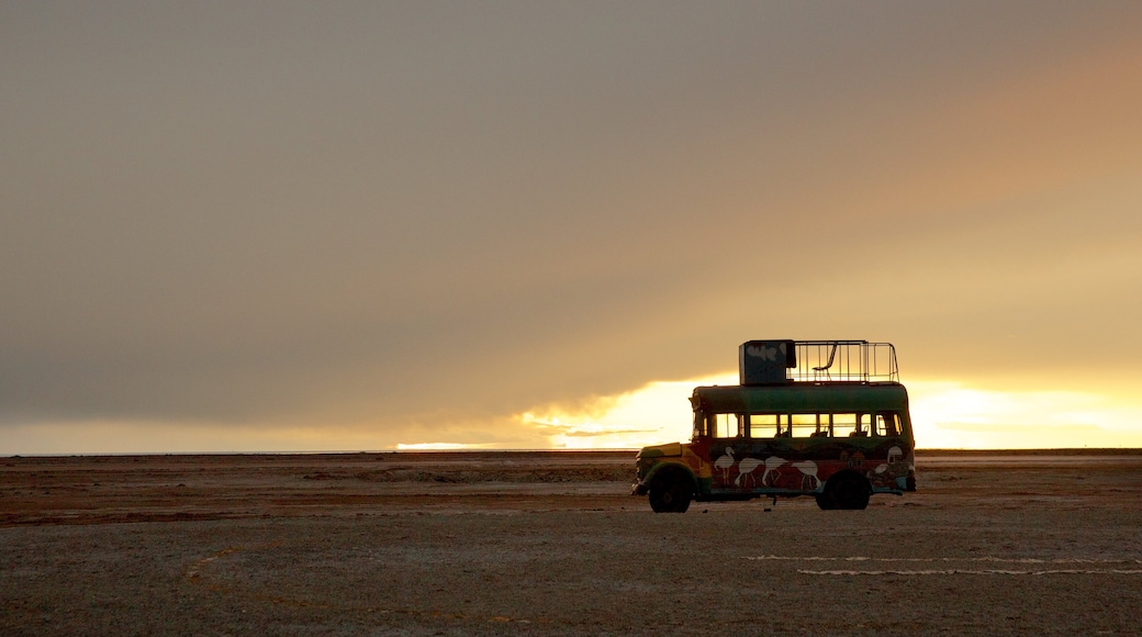 Uyuni 呈现出 旅遊車觀光 和 寧靜風景