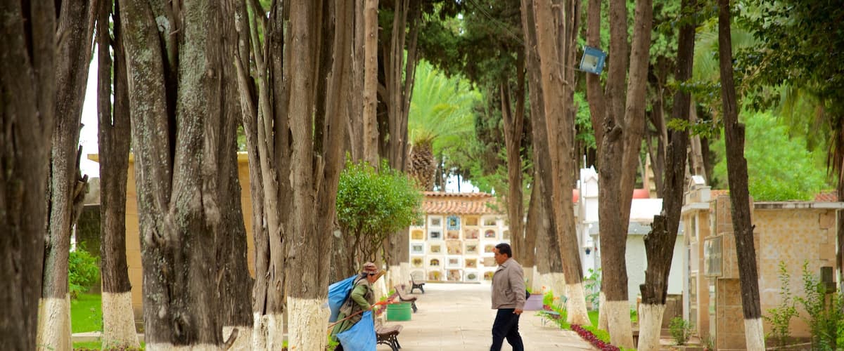 Sucre which includes a park