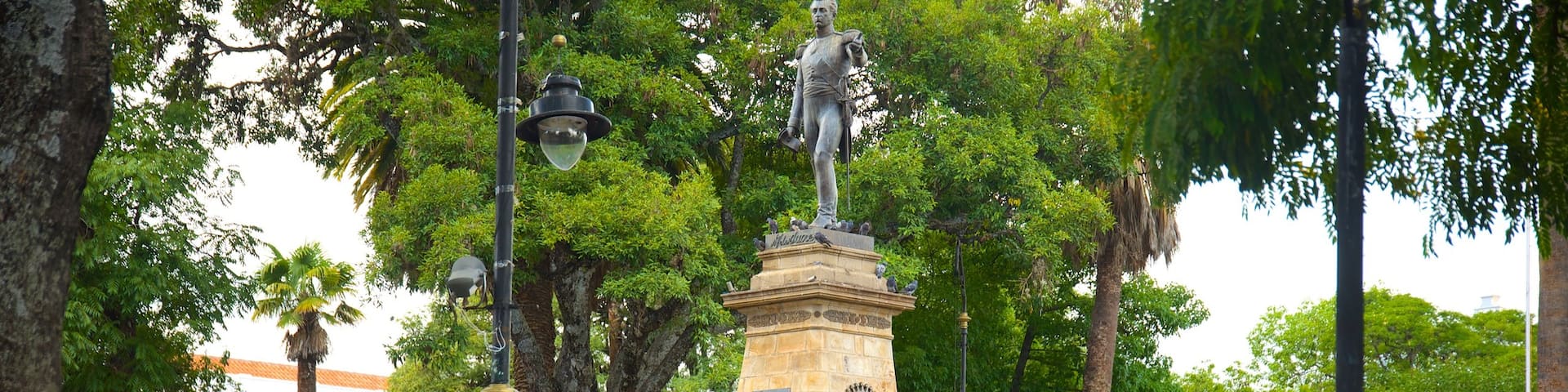 Plaza de 25 de Mayo featuring a garden and a statue or sculpture