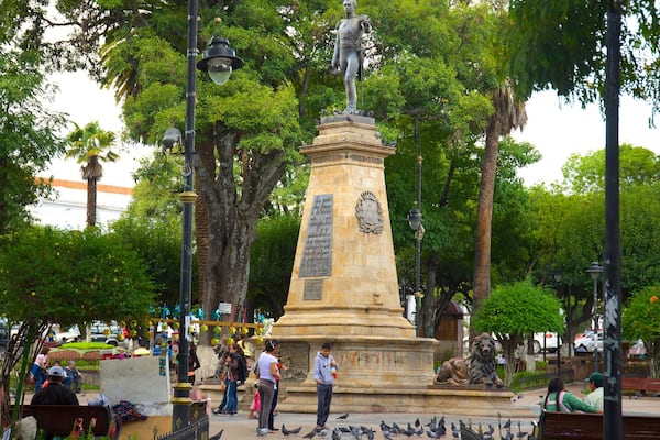 Plaza de 25 de Mayo showing a statue or sculpture and a garden