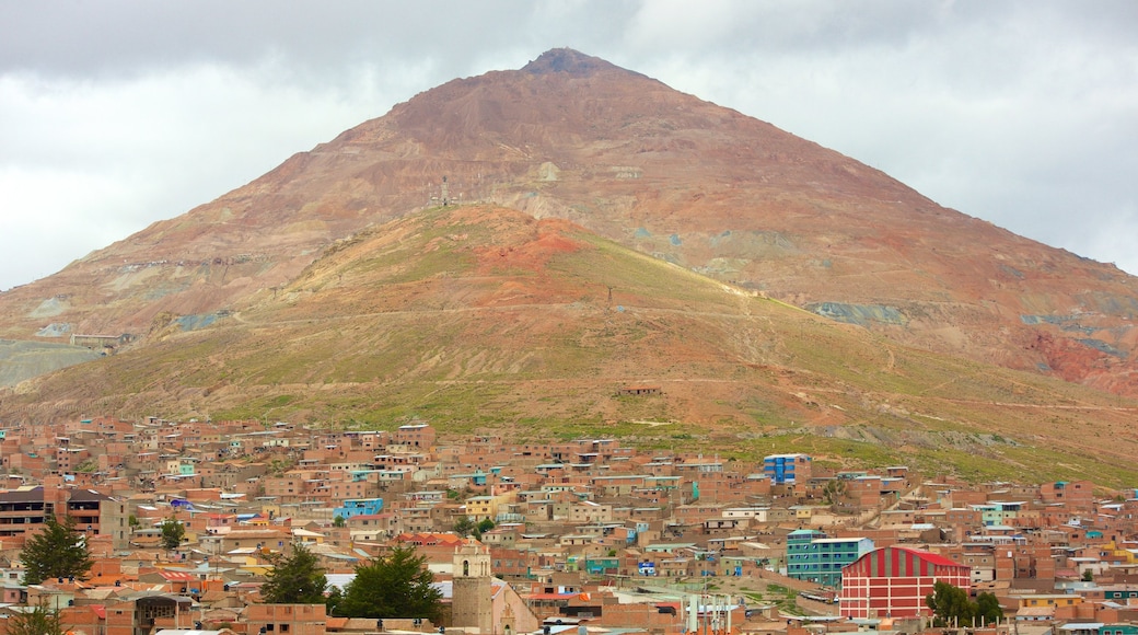 Cerro Rico which includes mountains and a city