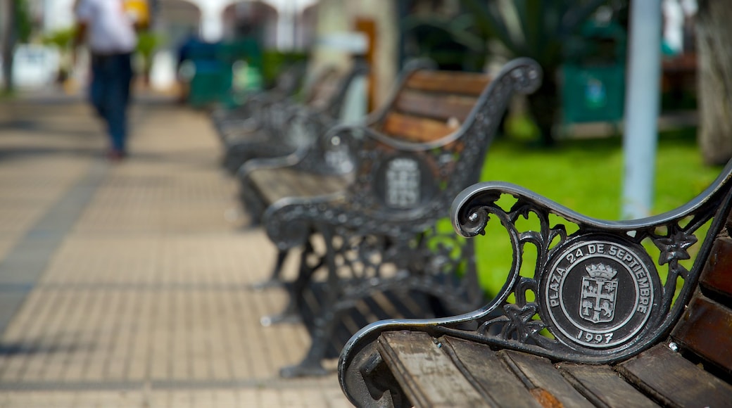 Plaza 24 de Septiembre showing a park