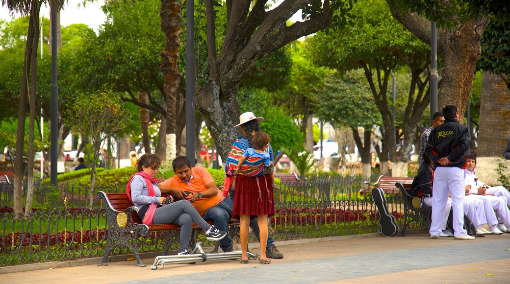 Plaza de 25 de Mayo showing a garden as well as a small group of people