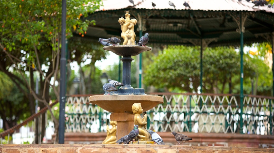 Plaza de 25 de Mayo que incluye una fuente