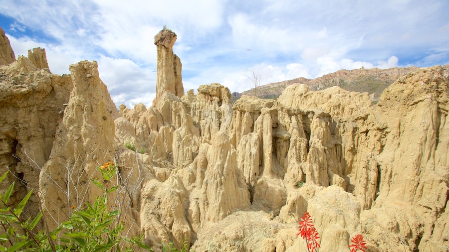 Valle de la Luna toont vredige uitzichten