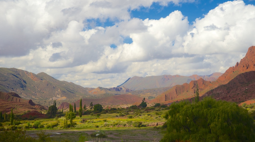 Bolivia inclusief vredige uitzichten