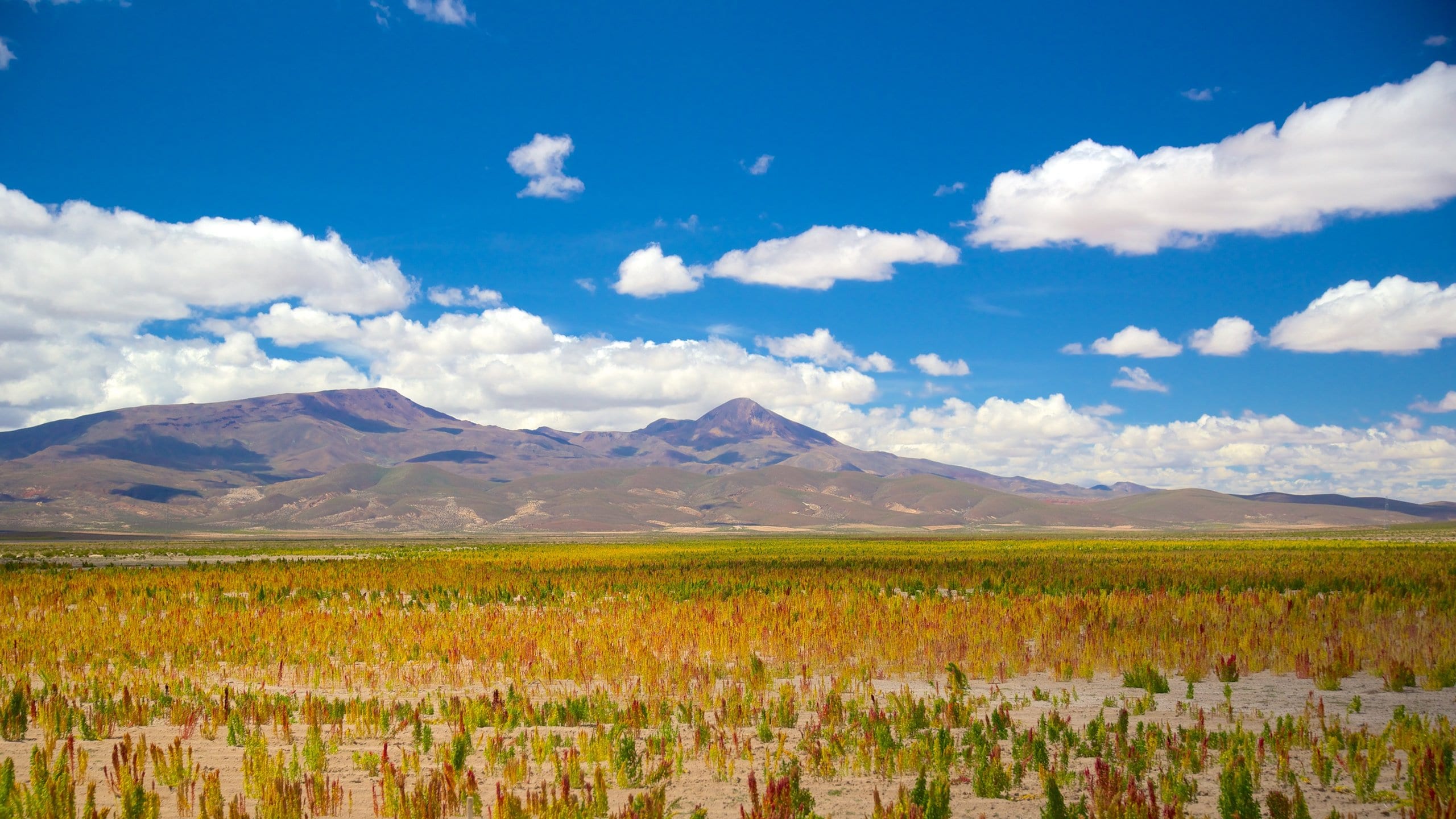Bolivia showing tranquil scenes