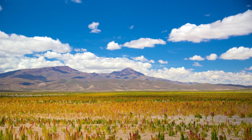 Bolivia toont vredige uitzichten
