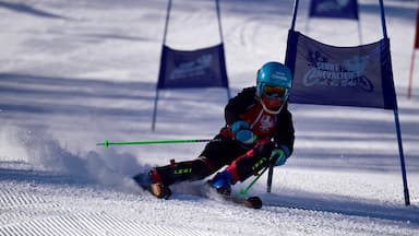 Aix-en-Provence toont skiën en sneeuw