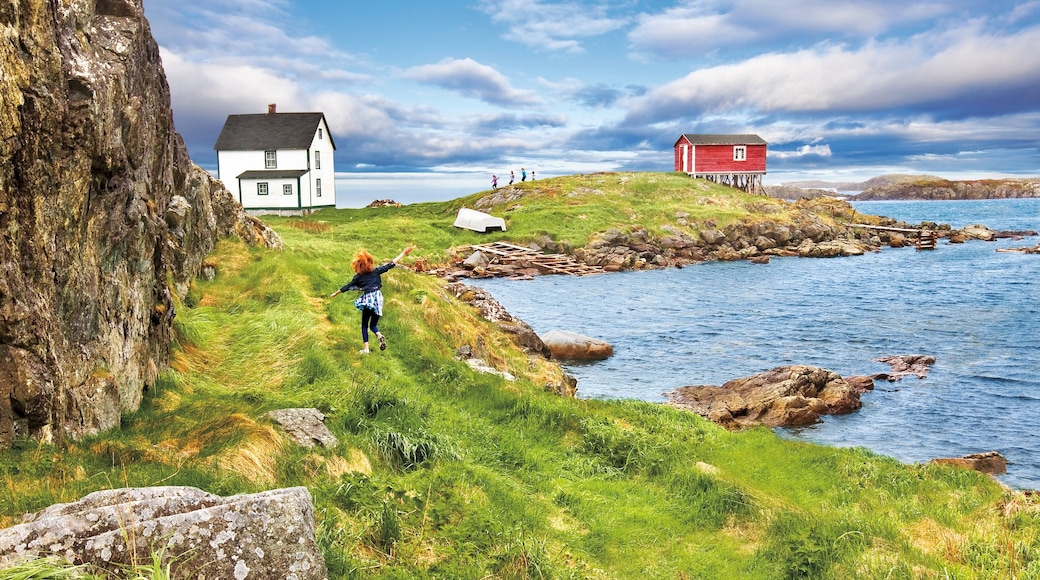 Foto proporcionada por Barrett & MacKay Photo/Newfoundland & Labrador Tourism